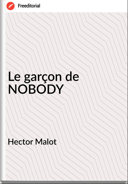 Hector Malot Le garçon de NOBODY