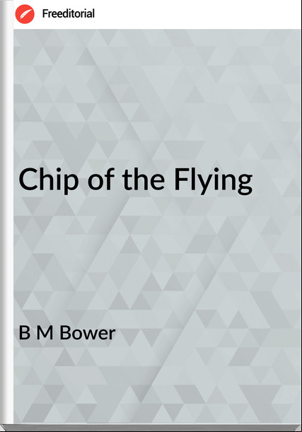 B M Bower Chip of the Flying