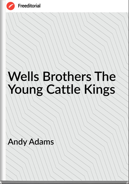 Andy Adams - Wells Brothers The Young Cattle Kings