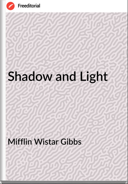 Mifflin Wistar Gibbs - Shadow and Light