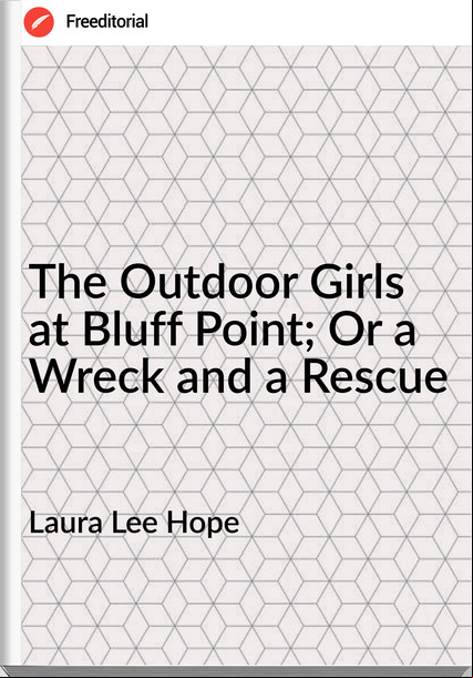 Laura Lee Hope - The Outdoor Girls at Bluff Point; Or a Wreck and a Rescue