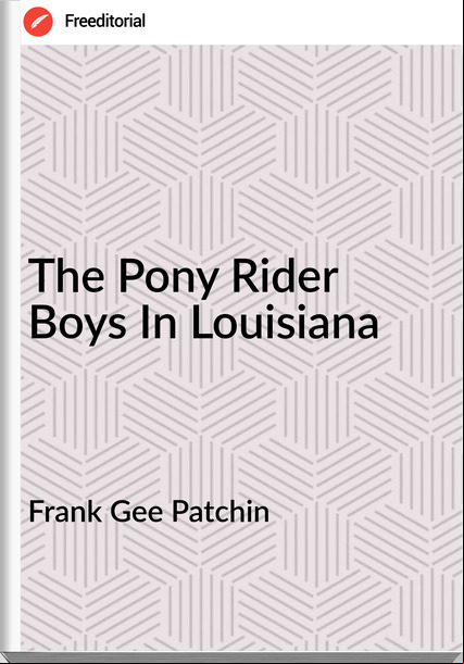 Frank Gee Patchin The Pony Rider Boys In Louisiana