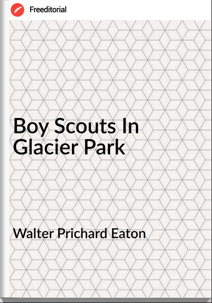 Walter Prichard Eaton Boy Scouts In Glacier Park