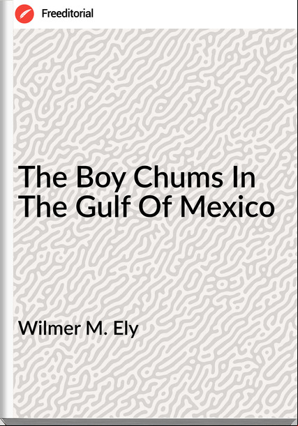 Wilmer M. Ely - The Boy Chums In The Gulf Of Mexico