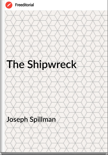 Joseph Spillman - The Shipwreck