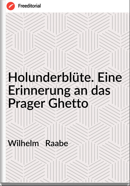 Wilhelm Raabe Holunderblüte. Eine Erinnerung an das Prager Ghetto