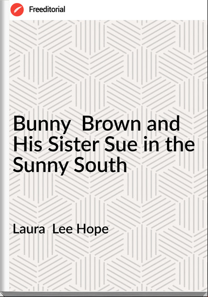Laura  Lee Hope - Bunny  Brown and His Sister Sue in the Sunny South
