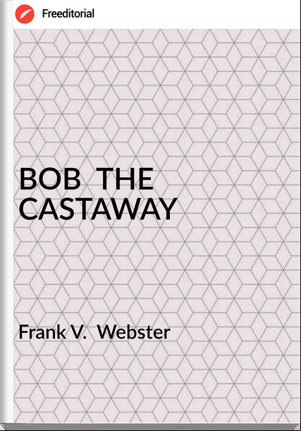 Frank V.  Webster - BOB  THE CASTAWAY
