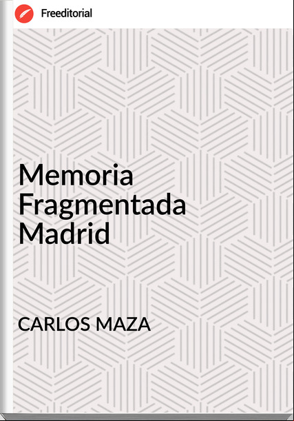 CARLOS MAZA Memoria Fragmentada Madrid